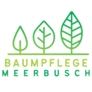 Baumpflege Berlin